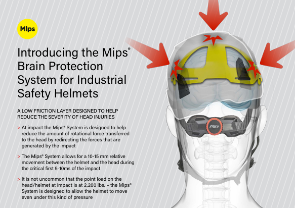 A diagram of MIPS